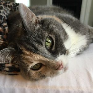 Meet your Posher, Kelly